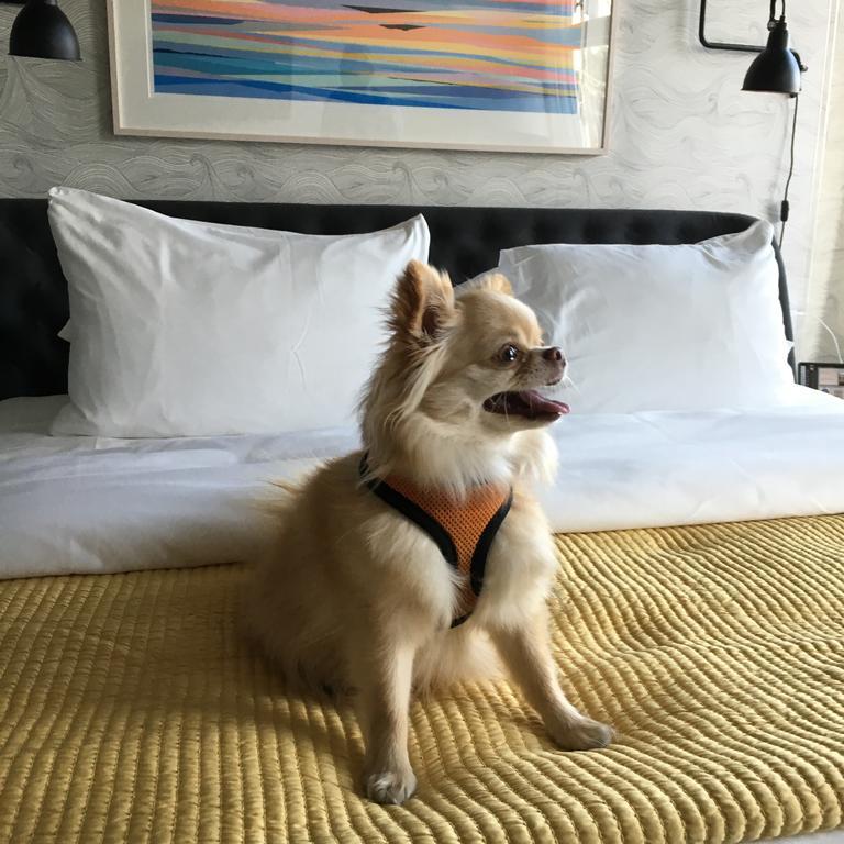 250 Main Hotel 록랜드 외부 사진